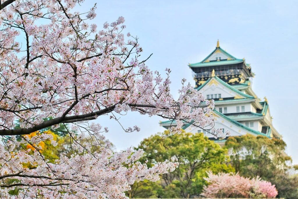 Japón Express