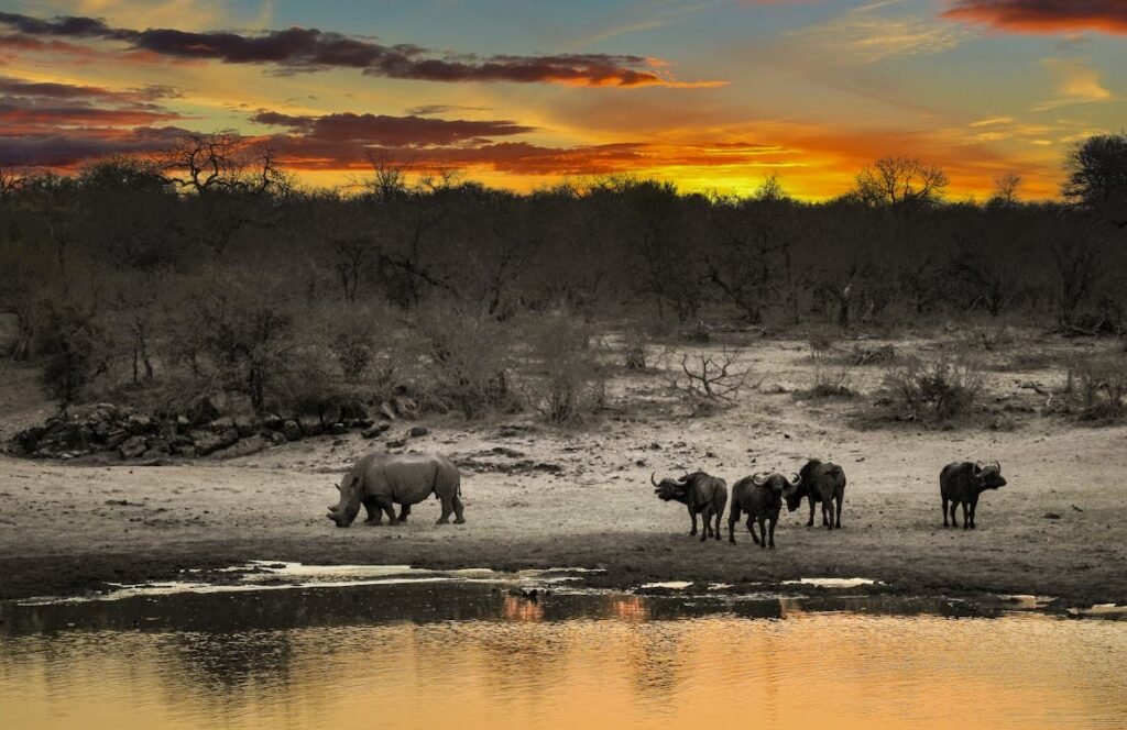 Maravillas de Sudáfrica
