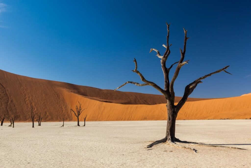 Lo Mejor de Namibia