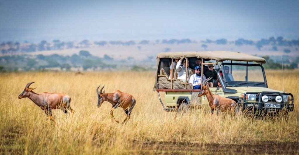 Complete Safari Kenya and Tanzania